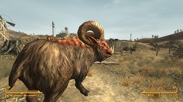 FNV: B42 Interact Skinning - Released!