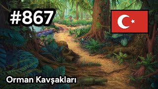 #867 🇹🇷 (📕3-📄24-2) - Orman Kavşakları - June's Journey