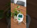 Automatik-Bewässerungssystem für deine Pflanzen 🌱 💦