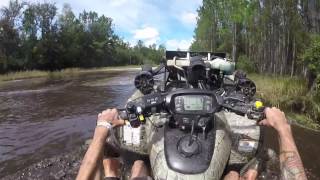 Hog Waller Mud Park | Honda Rincon Mudding