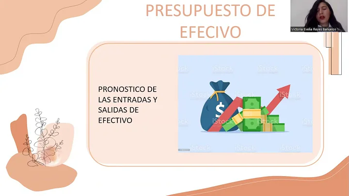 PRESUPUESTO FINANCIERO