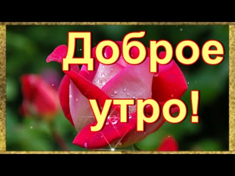 Доброе утро! 💖С постели поднимайся. 💖 Днем новым наслаждайся. 💖