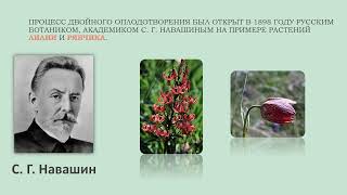 картинка: Размножение цветковых растений
