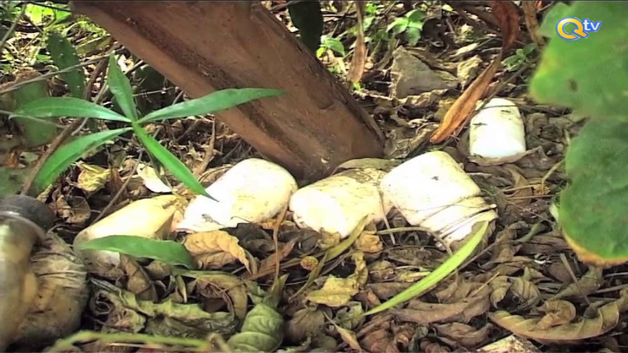 HATUTAKI ARVs: Wanakijiji wakataa kutumia dawa licha ya kuugua