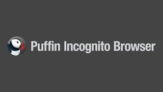 Puffin Incognito Browser: Protects users from geolocation tracking. screenshot 2