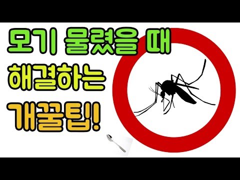 모기 물렸을 때 효과적인 방법 (모기물렸을때 대처법/모기물린곳 가라앉히기/모기에 물렸을 때)