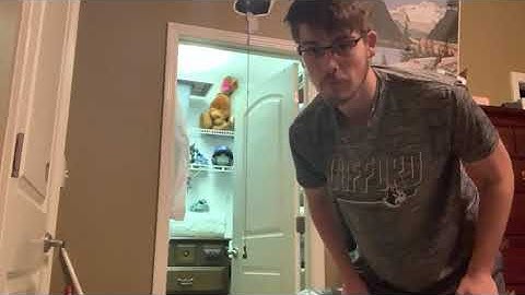 Lab 10 PHYS-1101L - Simple Harmonic Motion