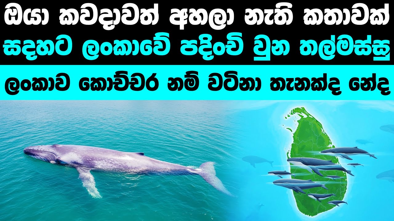 ලංකාවේ