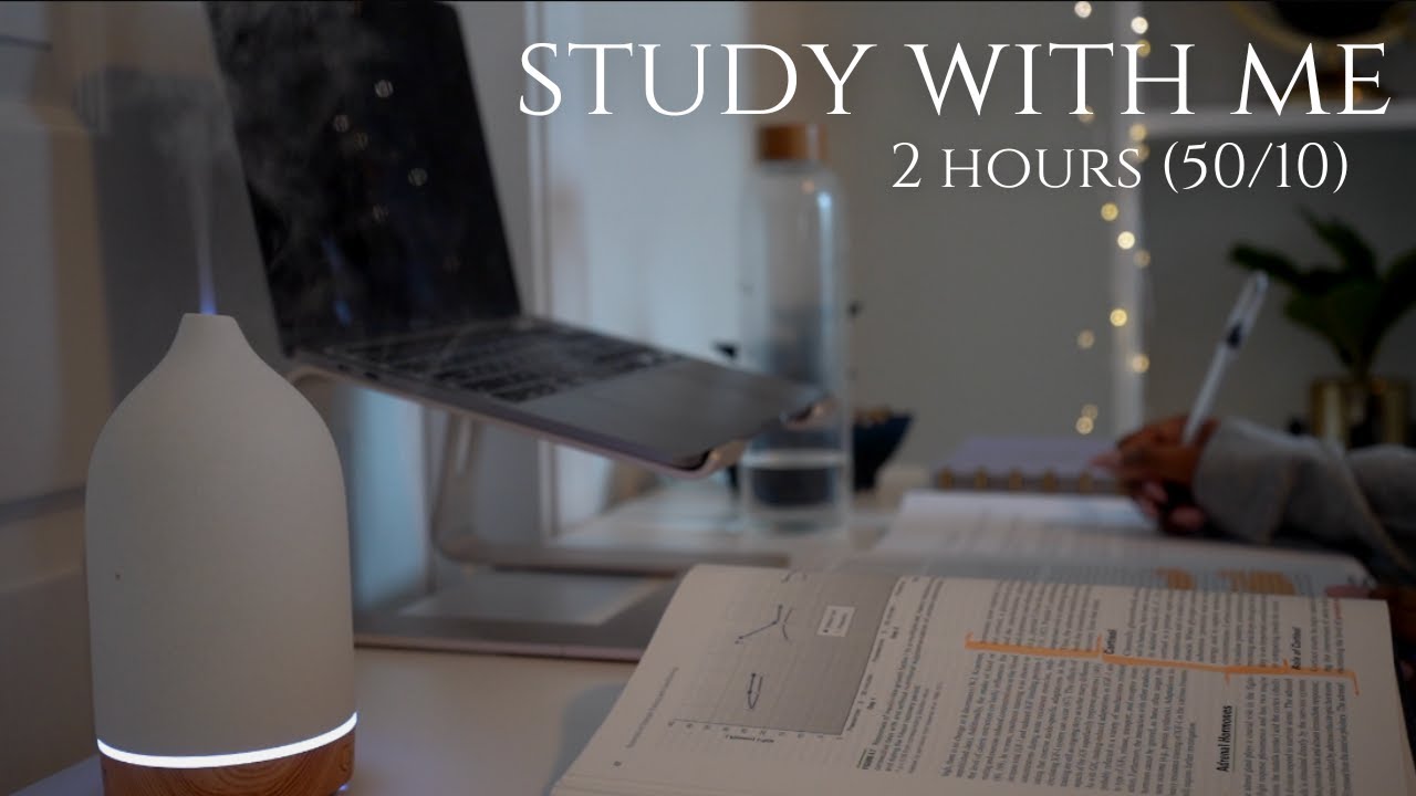 2-Hour Study With Me | Relaxing Lofi | Pomodoro 50/10 - YouTube