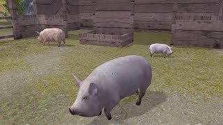 🐖Ultimate Pig Simulator + Boss Fights-Ultimate Farm Simulator-By Gluten Free games screenshot 5