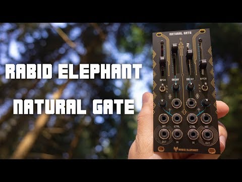 Eurorack module review: Rabid Elephant Natural Gate
