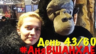 #АняВШАНХАЕ! | Вернулась в Шанхай! День 43 из 60 | Аня Гресь VLOG | Anya Gres