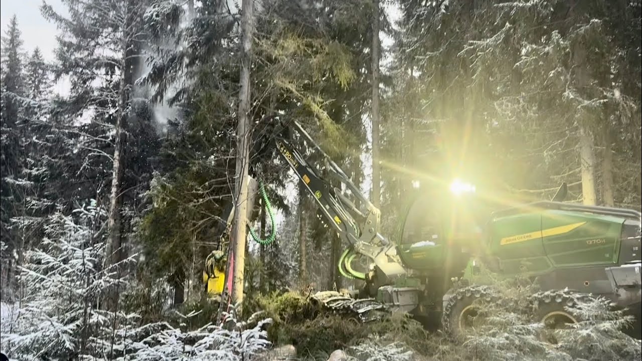 John Deere kaataa puuta kuin heinää💪