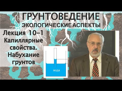 Видео: Что такое иллитовая почва?