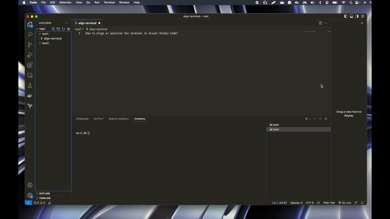 How to position or align terminal in Visual Studio Code? - YouTube