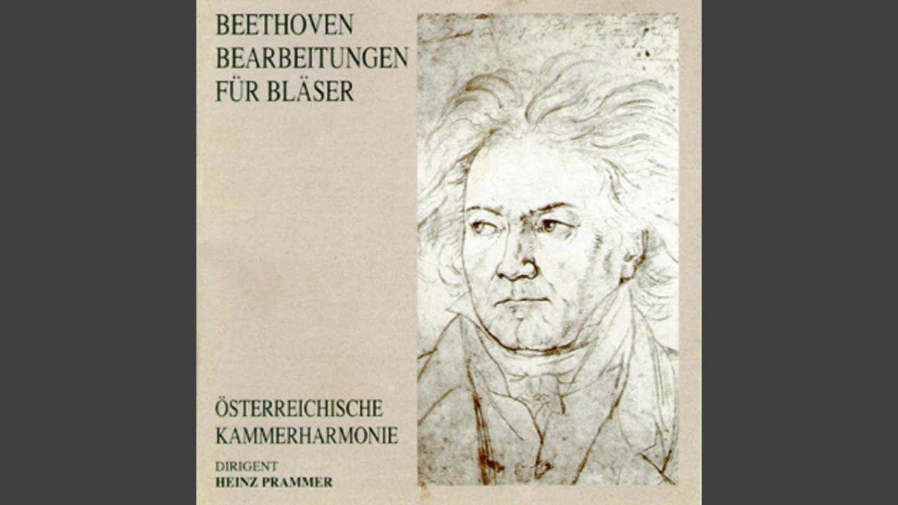 Septett in Es-Dur, OP.20 - Adagio-Allegro con brio