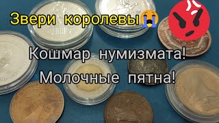 Кошмар нумизмата молочные пятна на инвест монетах из серебра! Что делать? На каких монетах чаще