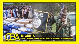 Militant Boko Haram group claim responsibility for 43 rice farmers attack