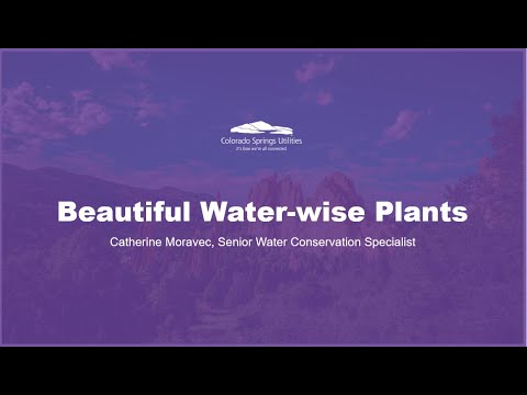 Beautiful Water Wise Plants Final