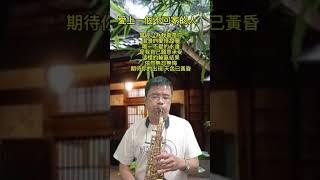 林憶蓮 愛上一個不回家的人 Alto 練習短片