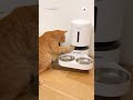 Product tester: nightmare mode.