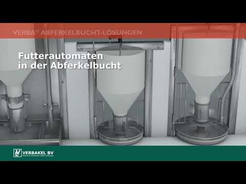 Video: Wie funktionieren Mikroklimata?