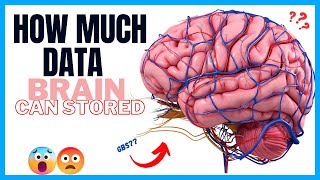 What Is Storage Capacity Of Brain??😳||How much Gbs of Data It Can Stored|| INFNITY CAMP #sciencefact