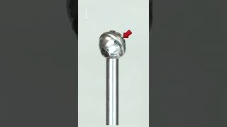 Ce Pe Foret Est Très Sûr