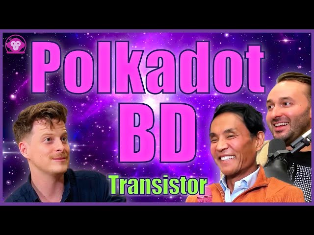 Polkadot Presence in North America? Transistor BD Following the Money - Space Monkeys 126