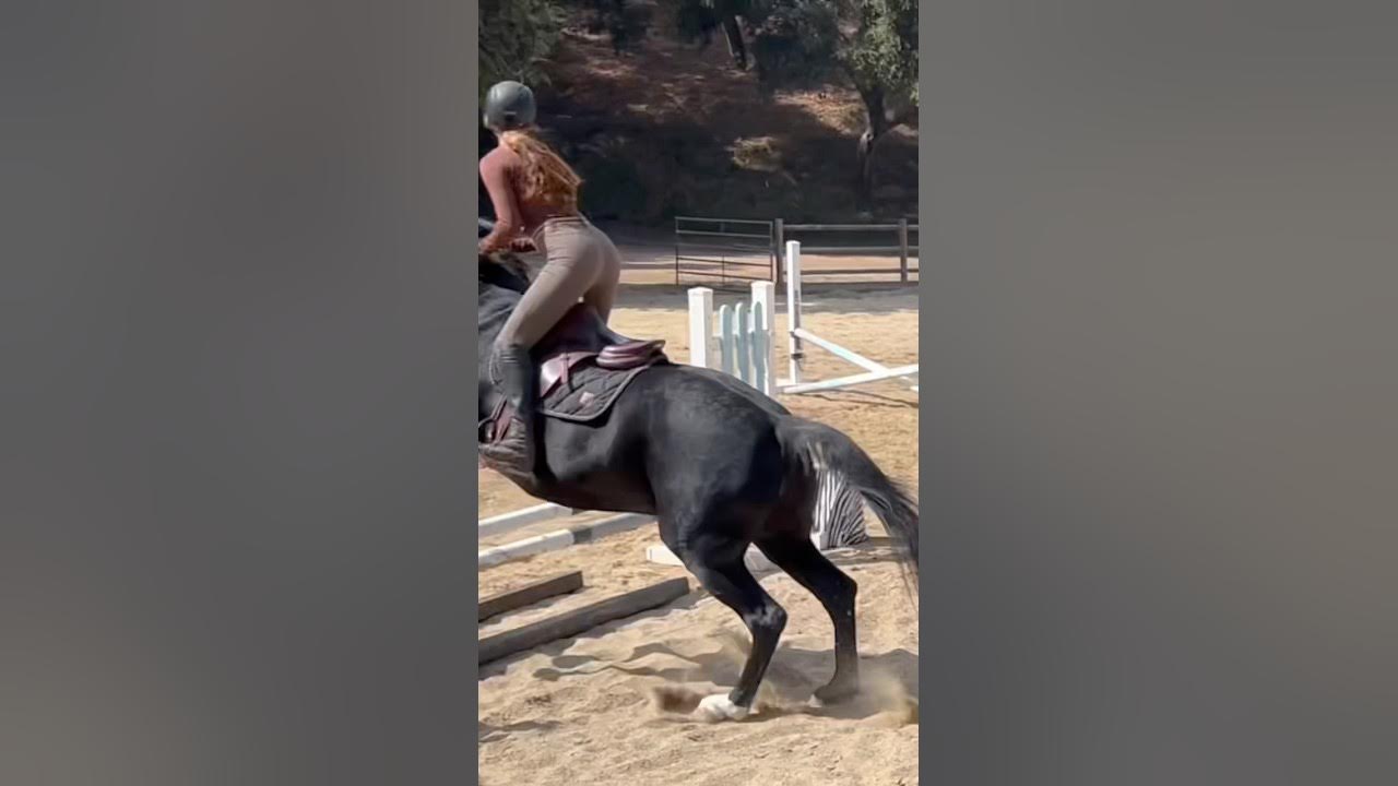 views are so bad rn 😂 as long as someone enjoys it shorts equestrian