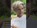 Quebec woman attacked by rabid cat describes the incident