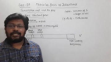 LECTURE - 07 | II PUC BIOLOGY | MOLECULAR BASIS OF INHERITANCE | BY RAJKUMAR OBA SIR