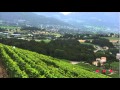 Lavaux, Vineyard Terraces (UNESCO/NHK)