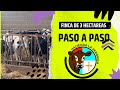 MODELO FINCA DE 3 HECTAREAS PASO A PASO ACLARACIONES PENDIENTES