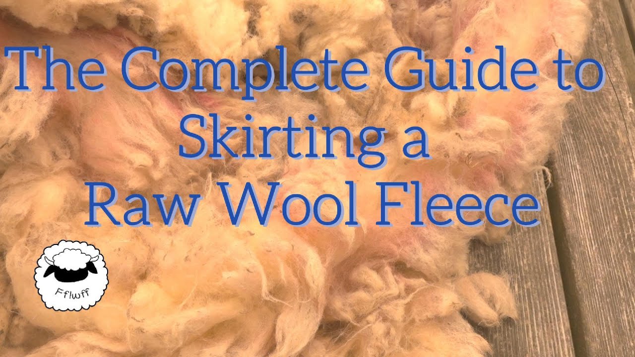 How to Skirt a Raw Wool Fleece! Everything you need to know!