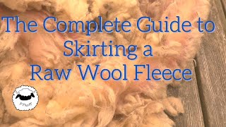 How to Skirt a Raw Wool Fleece! Everything you need to know! Profile