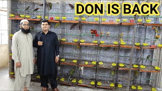 Hamza Bhai Exotic Birds Farm Ki Video Big Parrots Me Har Variety Mil Jaigi Aur Market Se Kam Daam