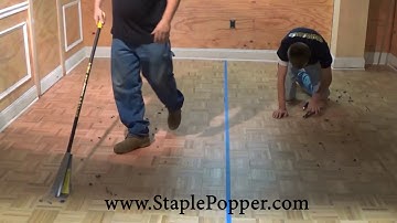 Staple Popper, Remove Carpet Staples Easily