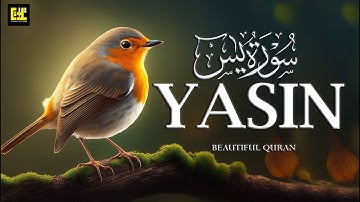 Surah Yasin (Yaseen) سورة يس | This Will Touch Your Heart and Soul