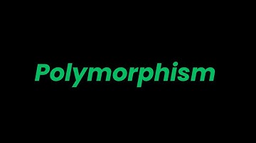 Mastering Polymorphism in Python: Method Overriding and Duck Typing Explained