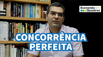 O que é concorrência perfeita exemplos?