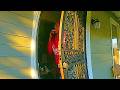 Domestic Call Turns Into a Murder Scene Within 60 Minutes