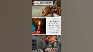 يارب نهاية سعيدة نطوي بها ك ل هذا القلق 
