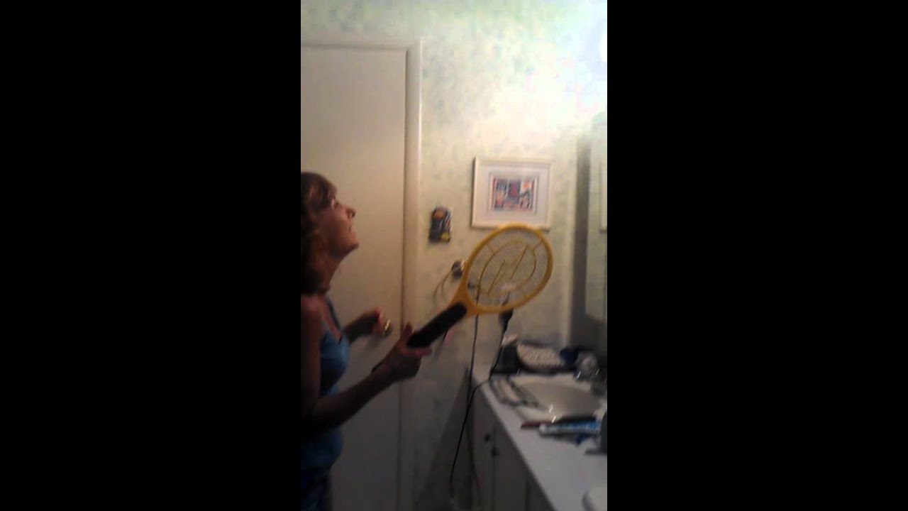 How to use an electric fly swatter YouTube