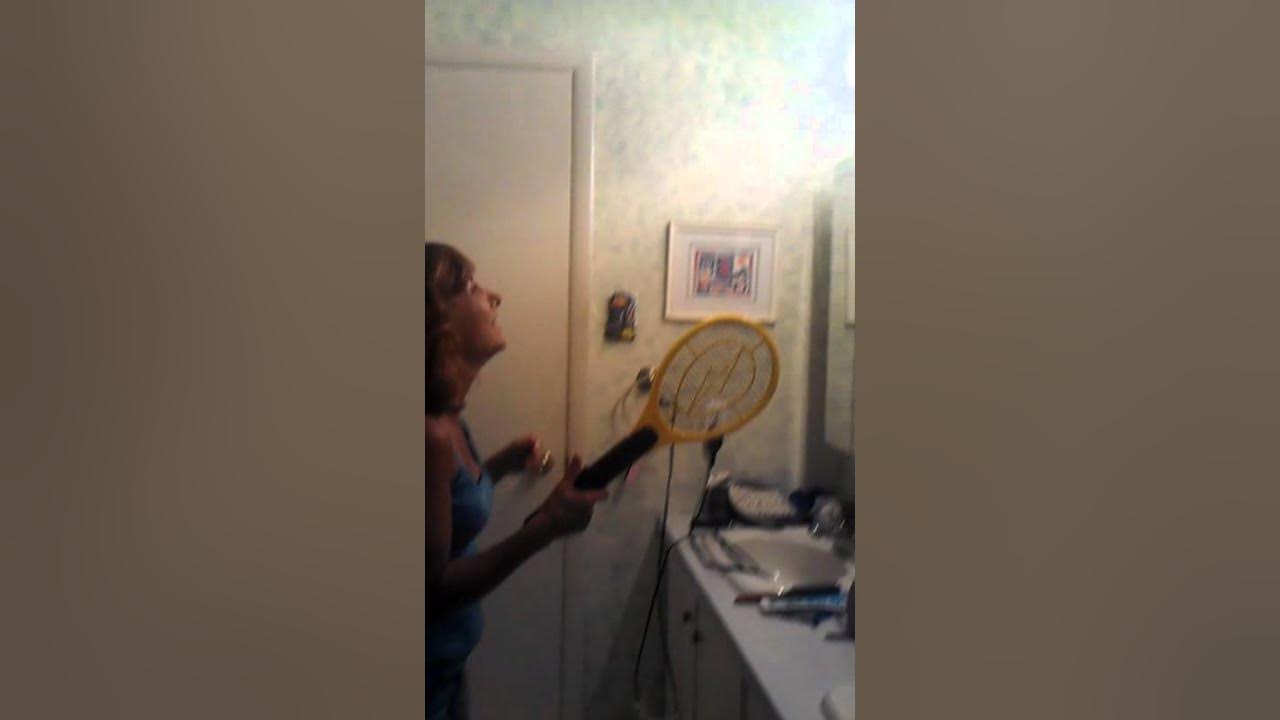How to use an electric fly swatter YouTube