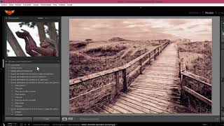 Curso Intensivo de Photoshop Lightroom 28 - Efectos de Revelado avanzados, plugins de terceros