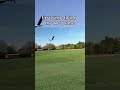 crashing my rc trainer on its first flight #rcplane #aviation #scratchbuilt #rcaircraft