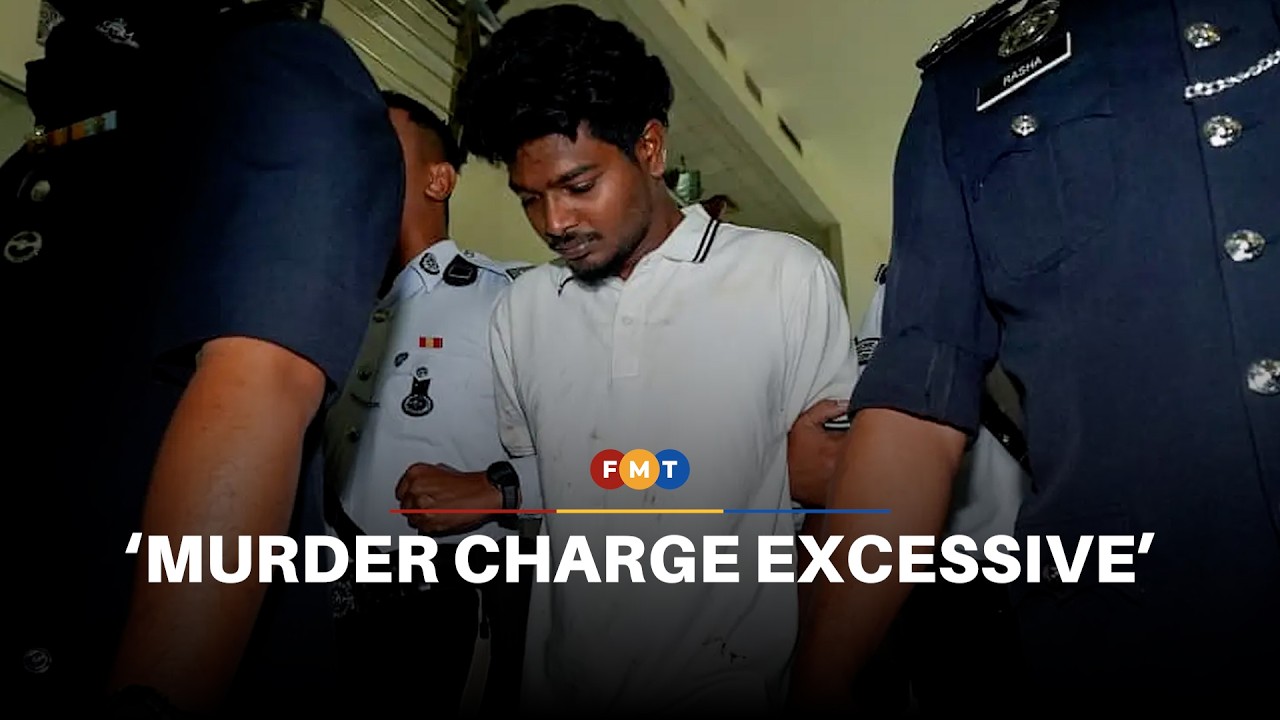 Murder charge in fatal crash excessive, says ex-deputy law minister