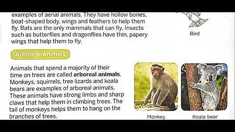 Class 4th Subject Science ch-4 part 2 by ANUJ YADAV SIR 18 7 20