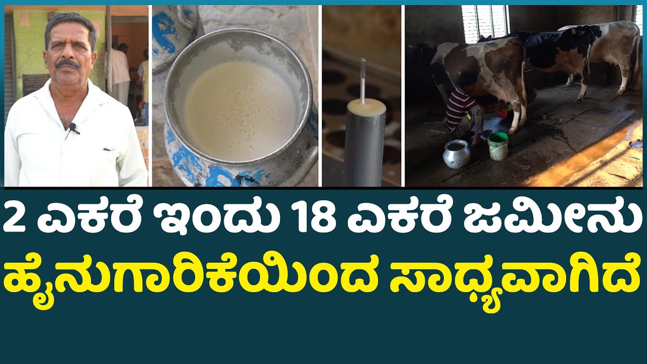 1 ದಿನಕ್ಕೆ 1000 ಲೀಟರ್ ಹಾಲು ಉತ್ಪಾದನೆ ಹಾಸ್ಪಿಟಲ್ ಗಾಗಿ 30 ವರ್ಷದಿಂದ ಹೋರಾಟ ಡೈರಿ ಅವರು ಹೇಳಿದ್ದೇನು